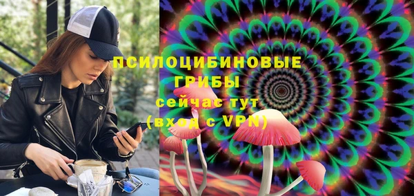 стаф Алексин