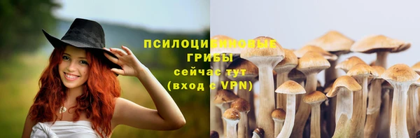 мет Алзамай