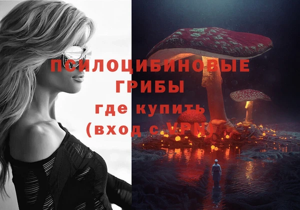 стаф Алексин
