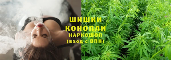 мет Алзамай